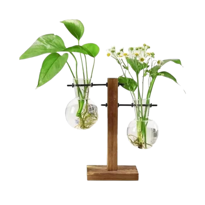 Plant Propagation Station